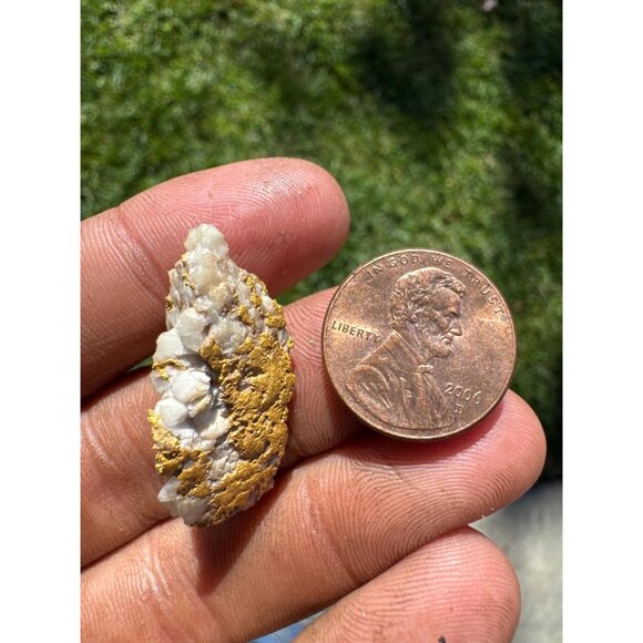 VERY RICH Gold in Quartz Specimen- California - 10.8 grams - Picture 7 of 12